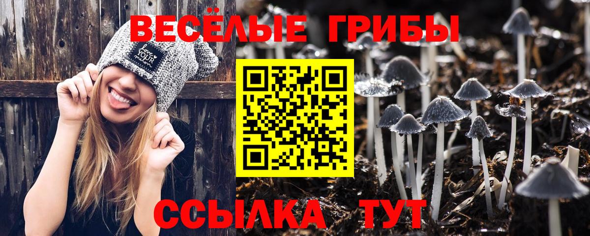 даркнет сайт  Галлюциногенные грибы Psilocybe  Вход с VPN  Грязи 